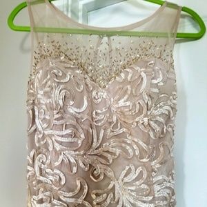 Stunning Beige Ignite Evenings Dress by Carol Lin